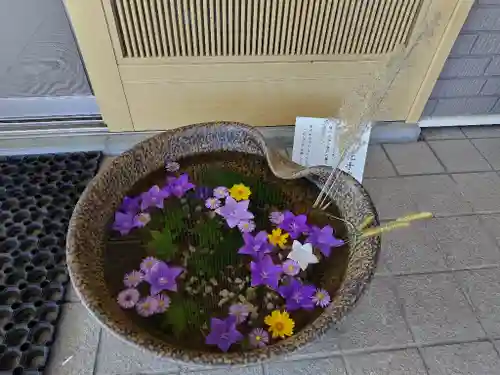 美瑛神社の手水