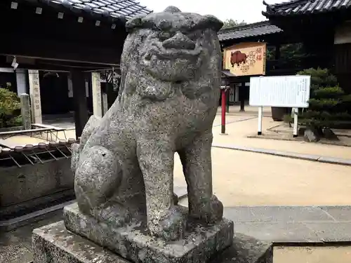 足高神社の狛犬