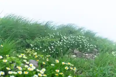 月山神社本宮の自然