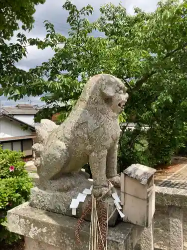 佐野八幡神社の狛犬