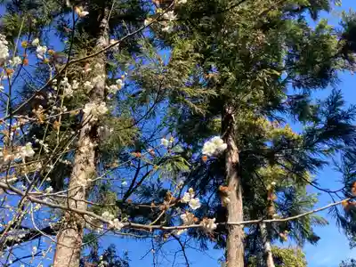 永谷天満宮(神奈川県)