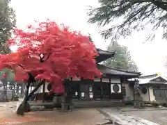 大慈寺の自然