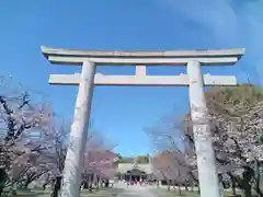 大阪護國神社の鳥居