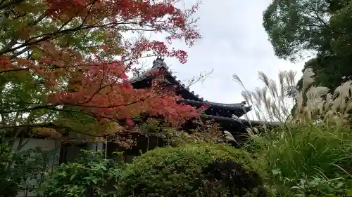 南禅寺の{uncategorized: "未分類", other: "その他", undefined: "問題あり", building: "その他建物", grave: "お墓", sacred_gate: "鳥居", guardian: "狛犬", statue: "像", buddha: "仏像", history: "歴史", nature: "自然", garden: "庭園", animal: "動物", pagoda: "塔", temizu: "手水舎", mountain_gate: "山門・神門", sanctuary: "本殿・本堂", subordinate: "末社・摂社", art: "芸術", scenery: "景色", jizo: "地蔵", ema: "絵馬", goshuin: "御朱印", omikuji: "おみくじ", items: "授与品その他", amulet: "お守り", goshuincho: "御朱印帳", eats: "食事", festival: "お祭り", votive_dance: "神楽", shichigosan: "七五三参", wedding: "結婚式", experience: "体験その他", initially: "初詣", around: "周辺", anti_infection: "感染症対策"}