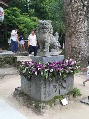 宝満宮竈門神社の狛犬