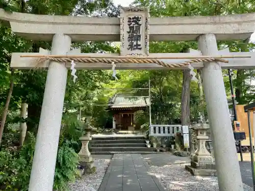 浅間神社(静岡県)
