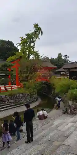 賀茂御祖神社（下鴨神社）の景色