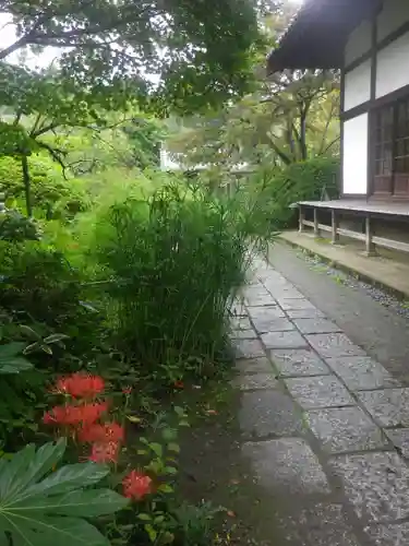 浄光明寺の自然