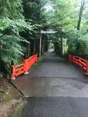 舟津神社の鳥居