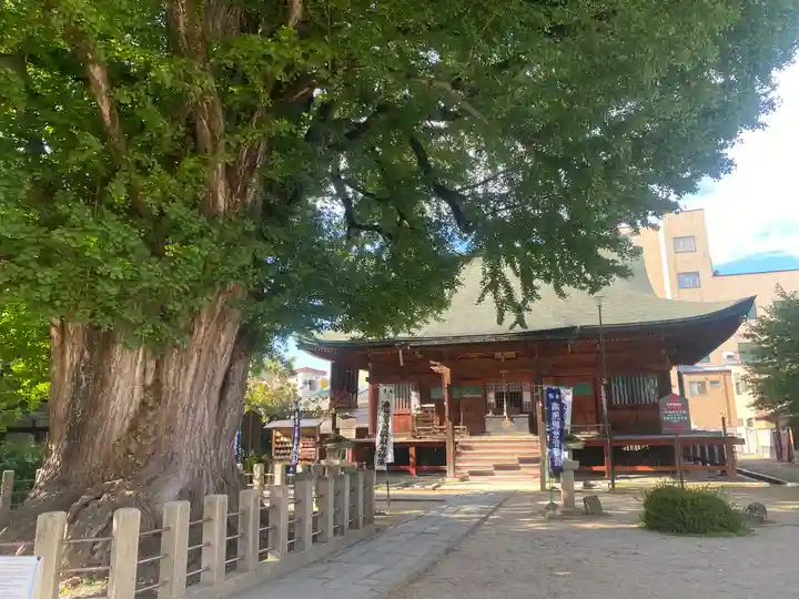 飛騨国分寺(岐阜県)