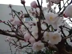 みなと稲荷神社の自然