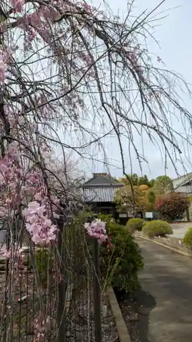 無量寿寺(埼玉県)