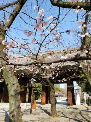 靖國神社(東京都)