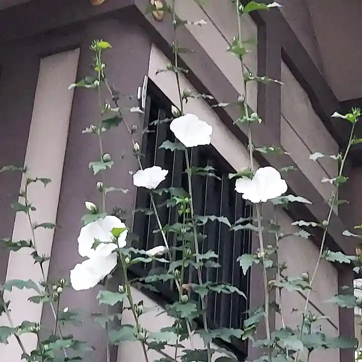 伏見三寳稲荷神社のその他建物