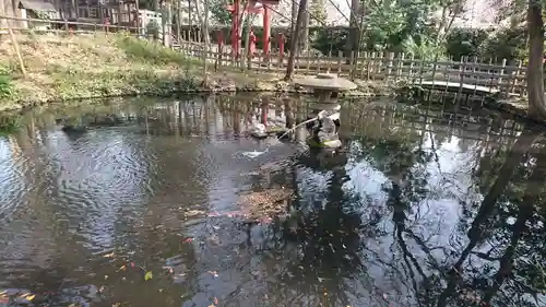 調神社の庭園