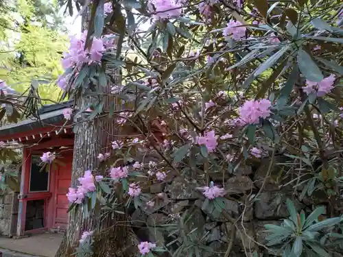三千院門跡(京都府)
