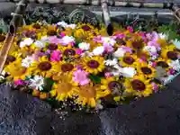 千歳神社の手水舎