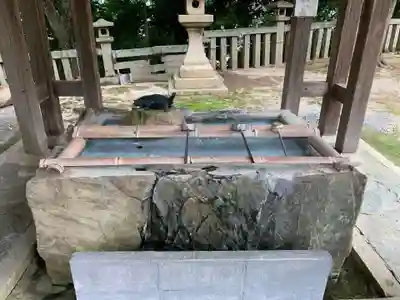 今八幡宮の手水舎