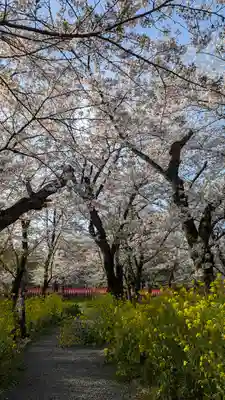 平野神社(京都府)