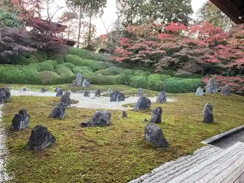 光明院（光明禅院）(京都府)