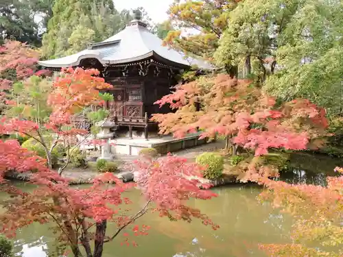 清凉寺(京都府)