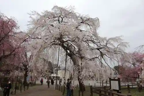 清雲寺の庭園