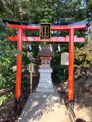 川越八幡宮(埼玉県)