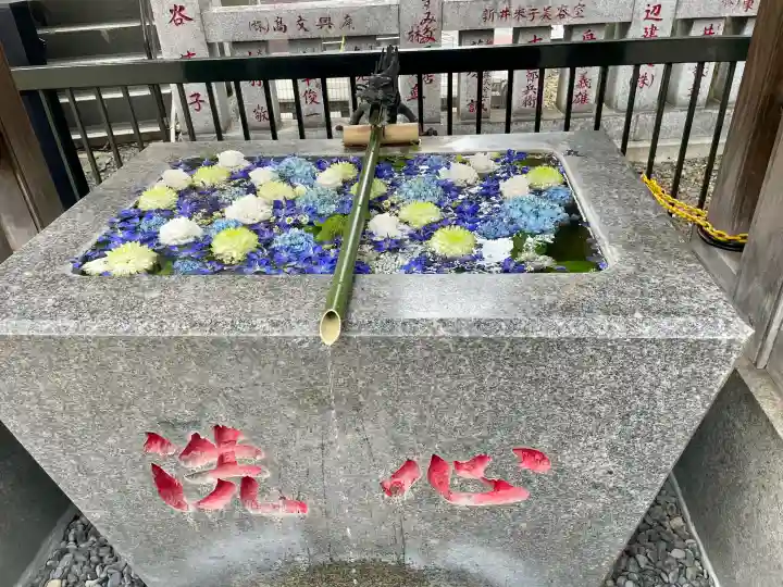 高円寺氷川神社(東京都)