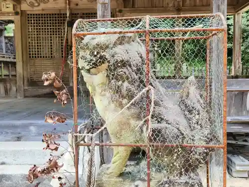 貴船神社の狛犬