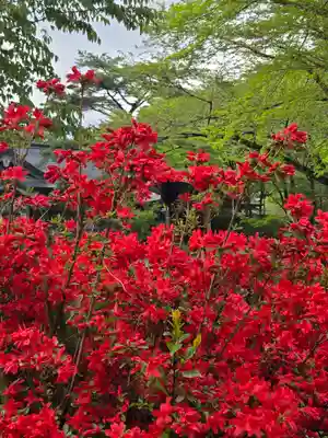 霧島神宮(鹿児島県)