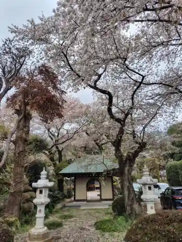 大蔵寺(埼玉県)