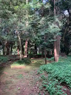諏訪神社(千葉県)