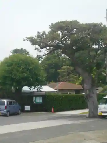 圓福寺（円福寺）の周辺