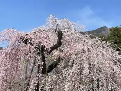 久遠寺(山梨県)