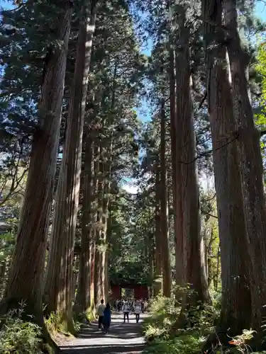 戸隠神社奥社の御朱印