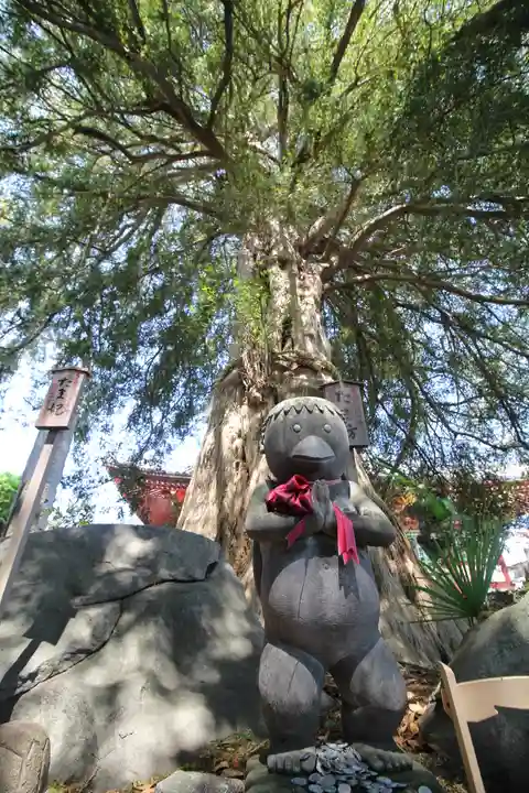善養寺(善養密寺)(東京都)