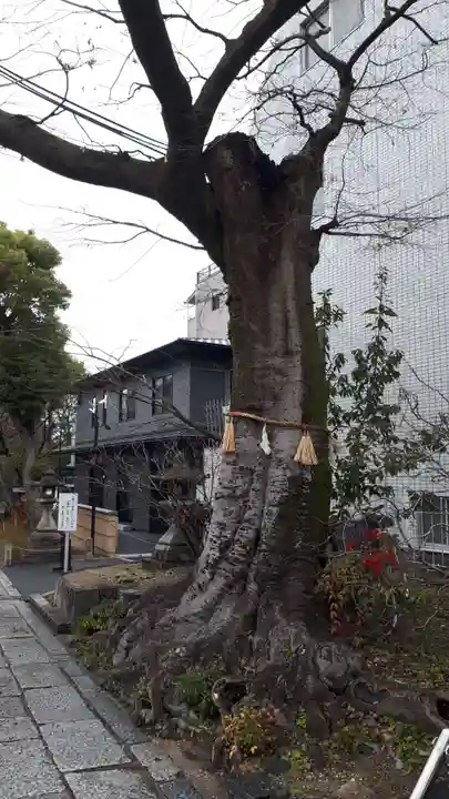 安井金比羅宮(京都府)