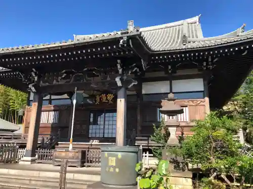妙蓮寺の本殿・本堂