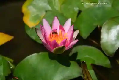 長運寺(神奈川県)