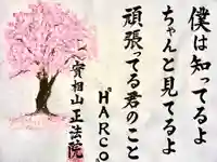 實相山 正法院(静岡県)