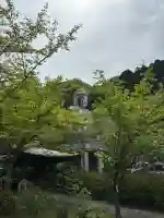 南法華寺(壷阪寺)の{uncategorized: "未分類", other: "その他", undefined: "問題あり", building: "その他建物", grave: "お墓", sacred_gate: "鳥居", guardian: "狛犬", statue: "像", buddha: "仏像", history: "歴史", nature: "自然", garden: "庭園", animal: "動物", pagoda: "塔", temizu: "手水舎", mountain_gate: "山門・神門", sanctuary: "本殿・本堂", subordinate: "末社・摂社", art: "芸術", scenery: "景色", jizo: "地蔵", ema: "絵馬", goshuin: "御朱印", omikuji: "おみくじ", items: "授与品その他", amulet: "お守り", goshuincho: "御朱印帳", eats: "食事", festival: "お祭り", votive_dance: "神楽", shichigosan: "七五三参", wedding: "結婚式", experience: "体験その他", initially: "初詣", around: "周辺", anti_infection: "感染症対策"}