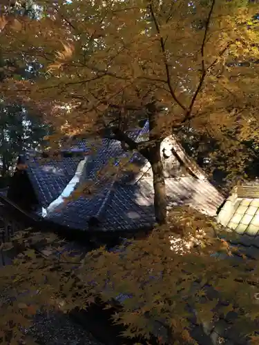 武田八幡宮(山梨県)