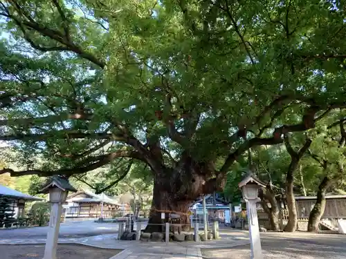 大麻比古神社の自然