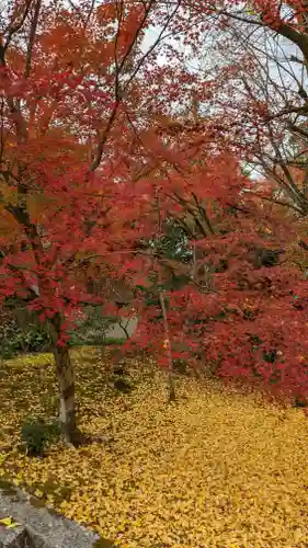岩屋寺(京都府)