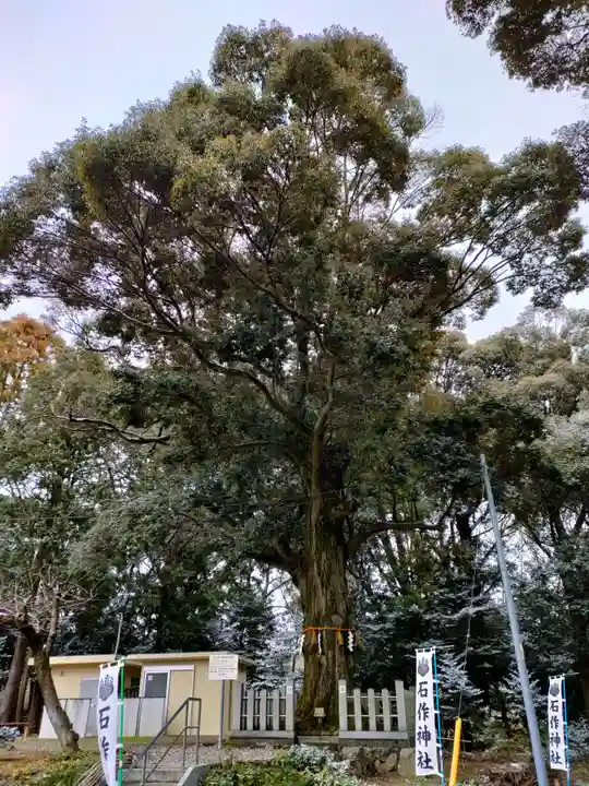 石作神社の自然