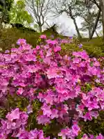 本輪西八幡神社の自然