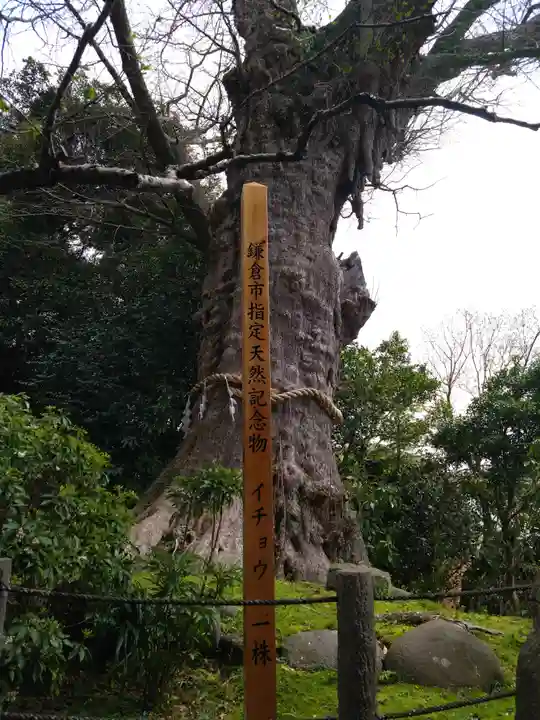 荏柄天神社(神奈川県)