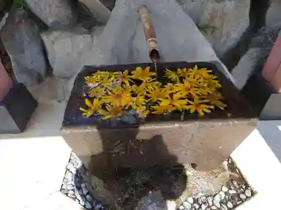 差出磯大嶽山神社 仕事と健康と厄よけの神さまの手水舎