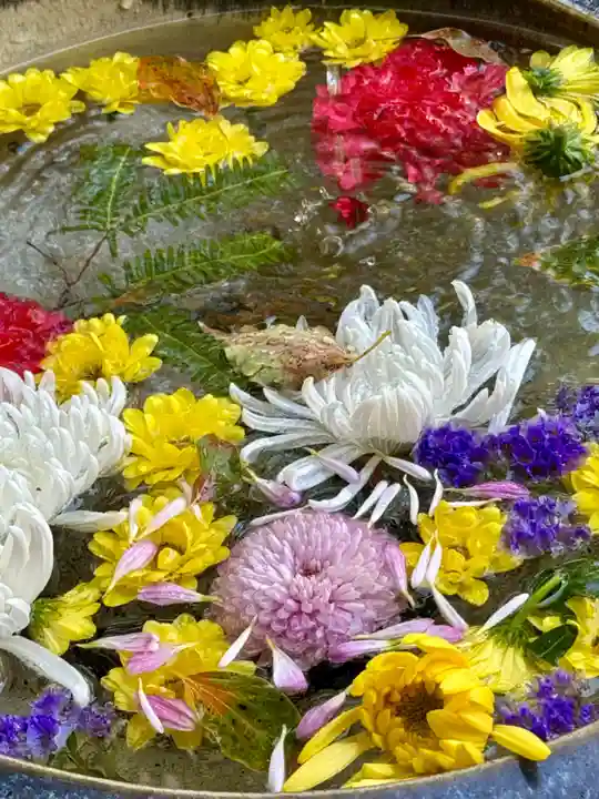 本法寺(京都府)