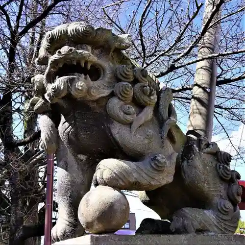 神炊館神社 ⁂奥州須賀川総鎮守⁂の狛犬